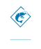 Songa